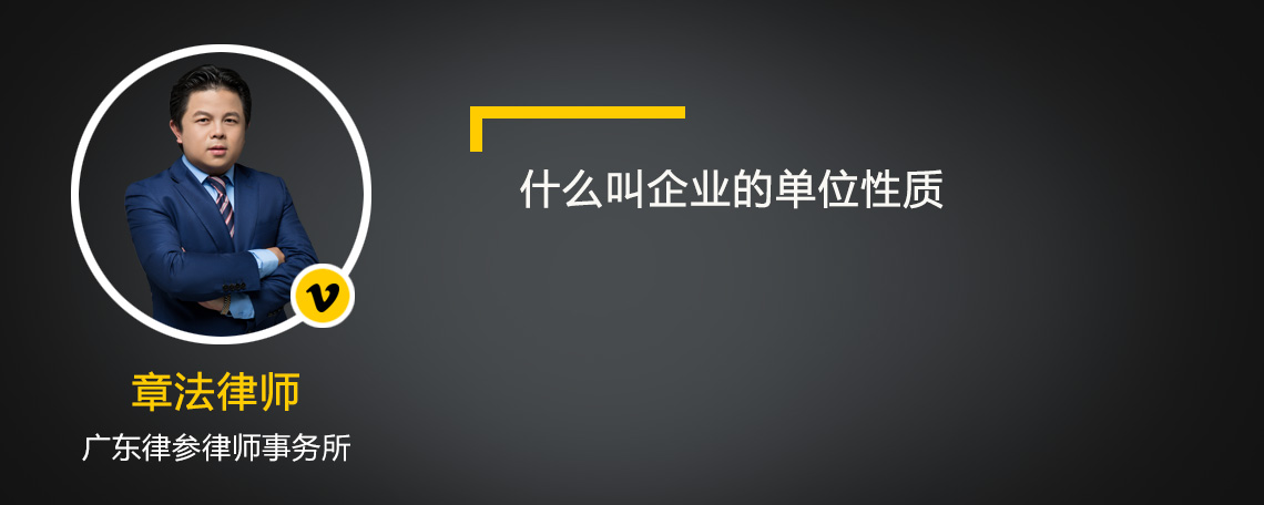 什么叫企業(yè)的單位性質