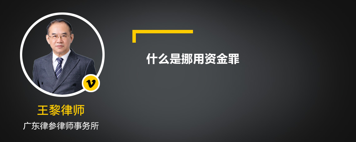 什么是挪用資金罪