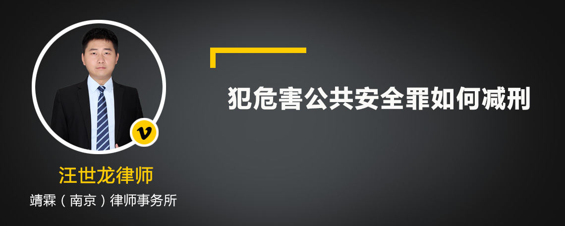 犯危害公共安全罪如何減刑