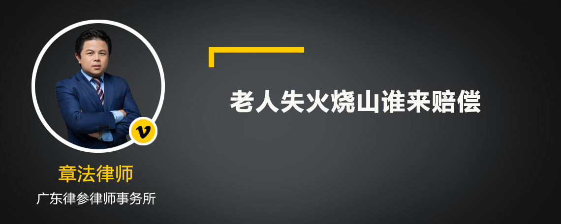 老人失火燒山誰來賠償