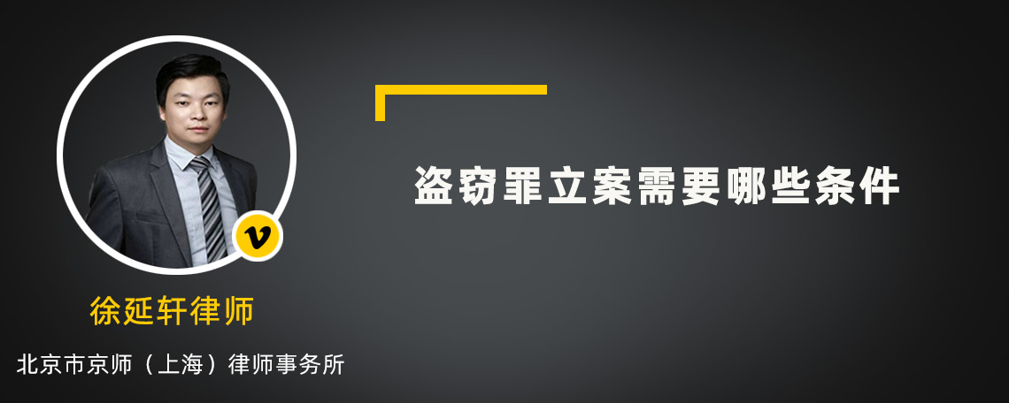 盜竊罪立案需要哪些條件
