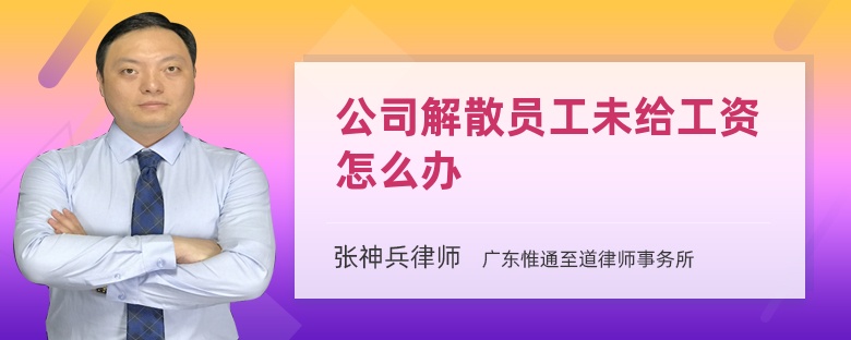 公司解散員工未給工資怎么辦