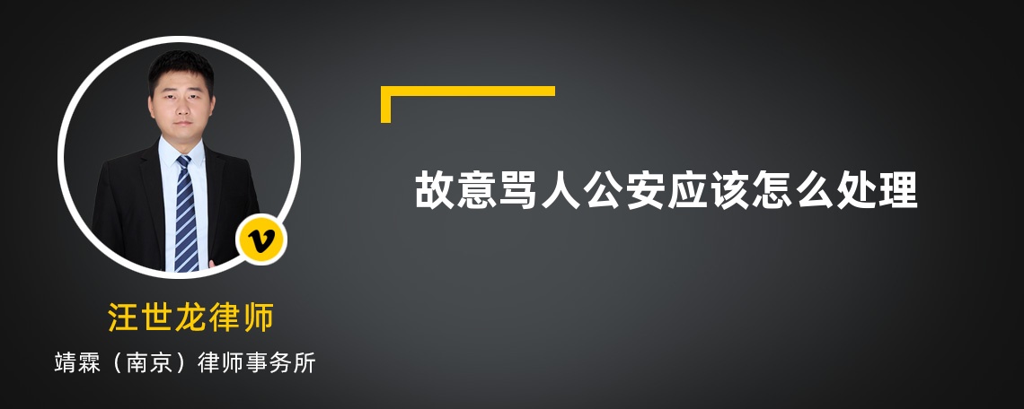 故意罵人公安應(yīng)該怎么處理