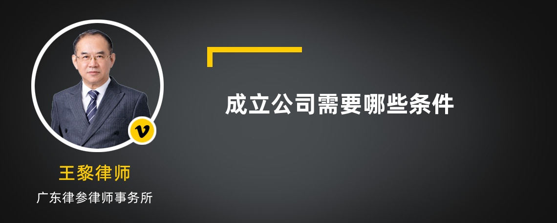 成立公司需要哪些條件