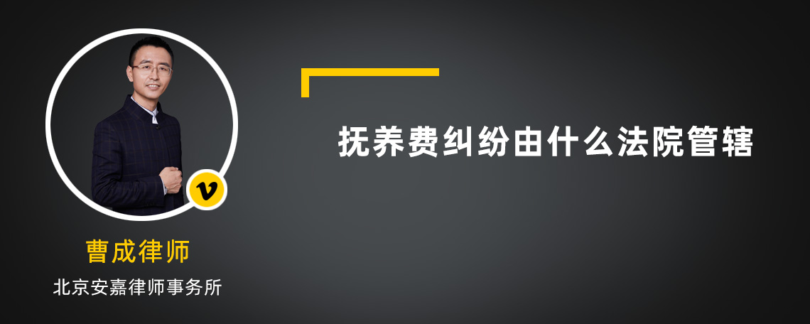 撫養(yǎng)費糾紛由什么法院管轄