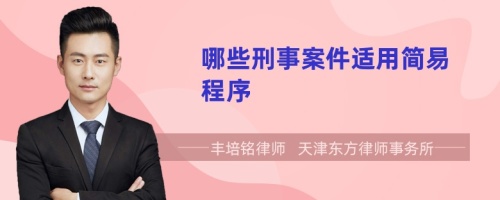 哪些刑事案件適用簡易程序