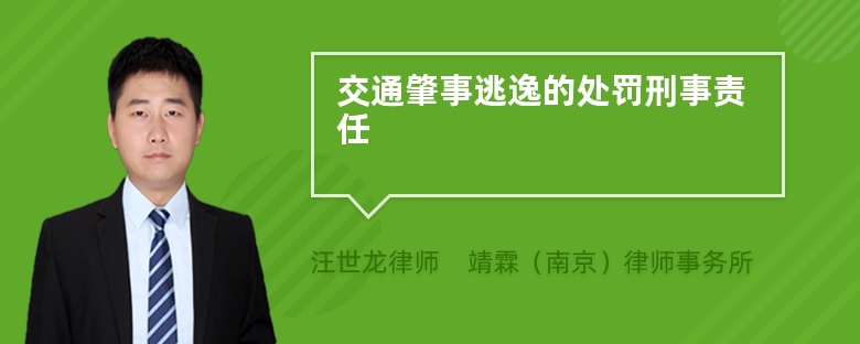 交通肇事逃逸的處罰刑事責(zé)任