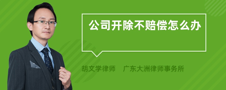 公司開(kāi)除不賠償怎么辦