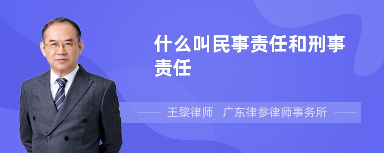 什么叫民事責(zé)任和刑事責(zé)任