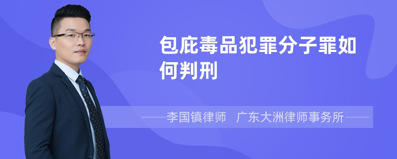 包庇毒品犯罪分子罪如何判刑