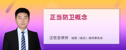 正當(dāng)防衛(wèi)概念