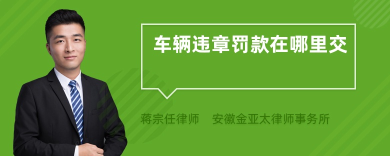 車輛違章罰款在哪里交