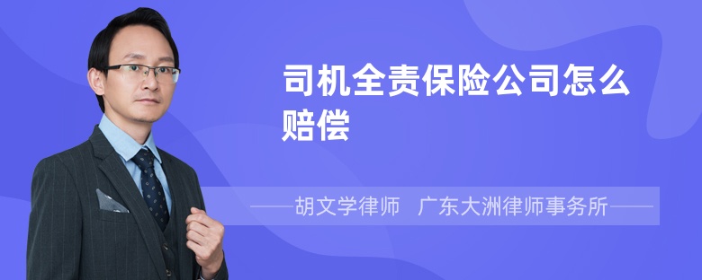 司機(jī)全責(zé)保險(xiǎn)公司怎么賠償