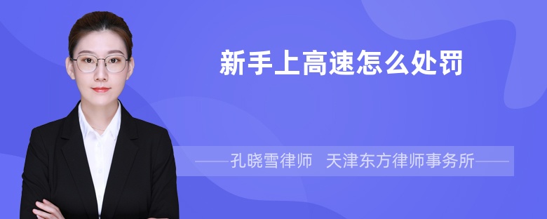 新手上高速怎么處罰
