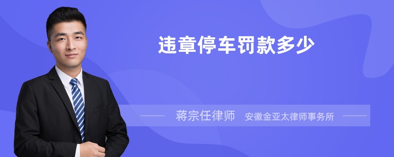 違章停車(chē)罰款多少