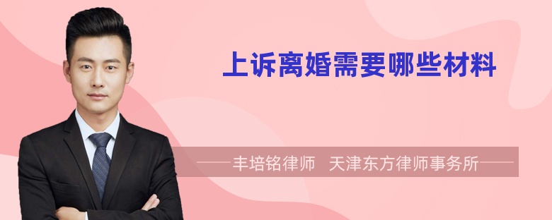 上訴離婚需要哪些材料
