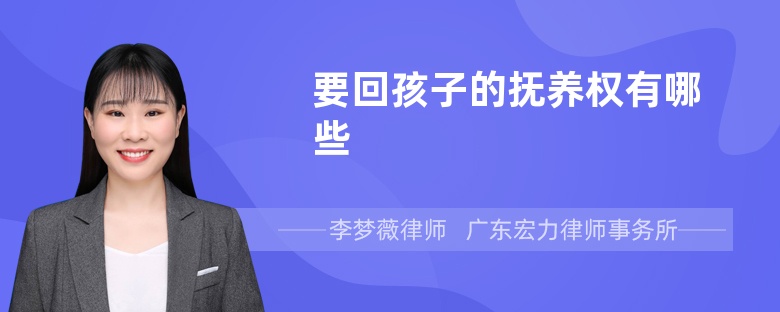 要回孩子的撫養(yǎng)權(quán)有哪些