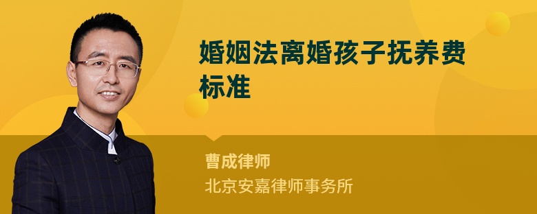婚姻法離婚孩子撫養(yǎng)費(fèi)標(biāo)準(zhǔn)