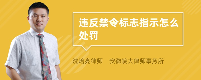 違反禁令標(biāo)志指示怎么處罰