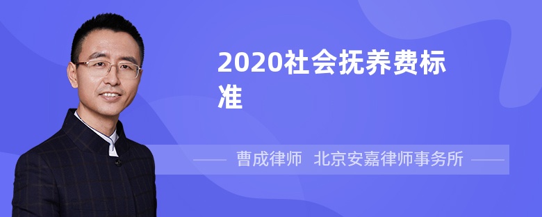 2020社會撫養(yǎng)費標(biāo)準(zhǔn)