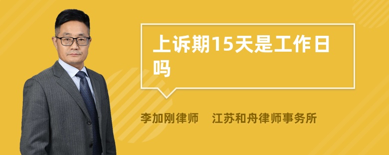 上訴期15天是工作日嗎
