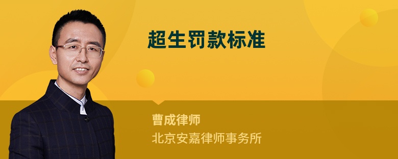 超生罰款標(biāo)準(zhǔn)