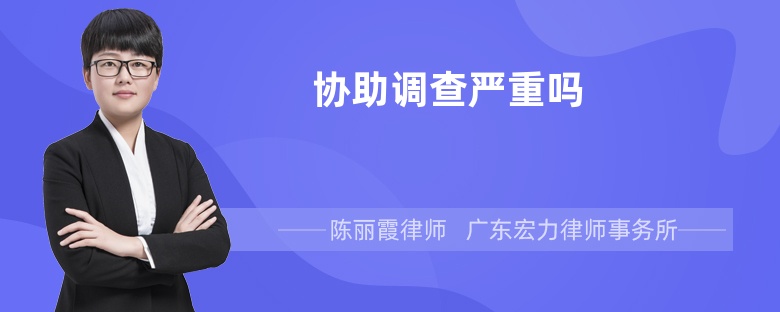 協(xié)助調(diào)查嚴(yán)重嗎