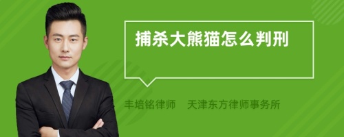 捕殺大熊貓?jiān)趺磁行?>
</a>
<div id=