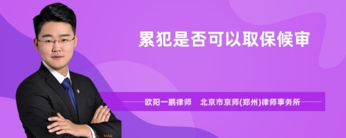 累犯是否可以取保候?qū)?>
</a>
<div id=