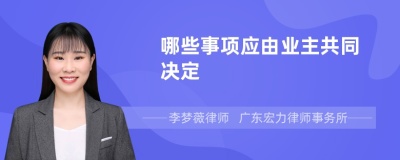 哪些事项应由业主共同决定