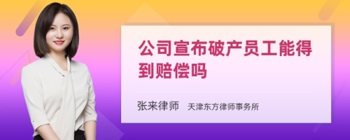 公司宣布破产员工能得到赔偿吗