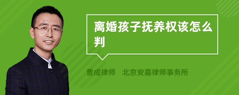 離婚孩子撫養(yǎng)權(quán)該怎么判