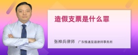 造假支票是什么罪