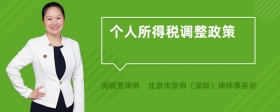 個人所得稅調(diào)整政策