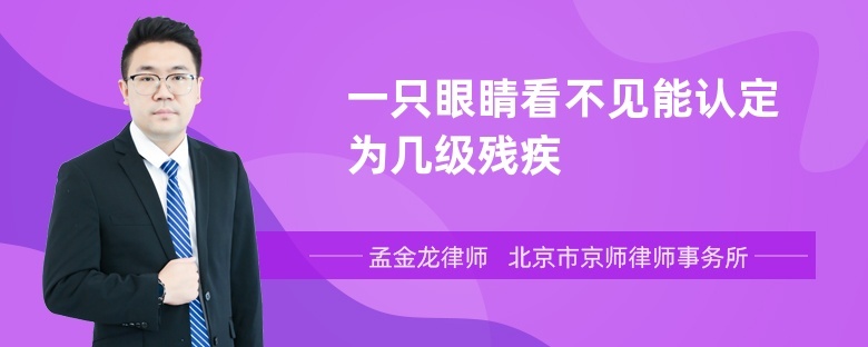 一只眼睛看不见能认定为几级残疾