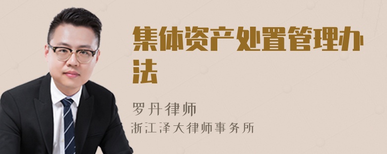 集體資產(chǎn)處置管理辦法
