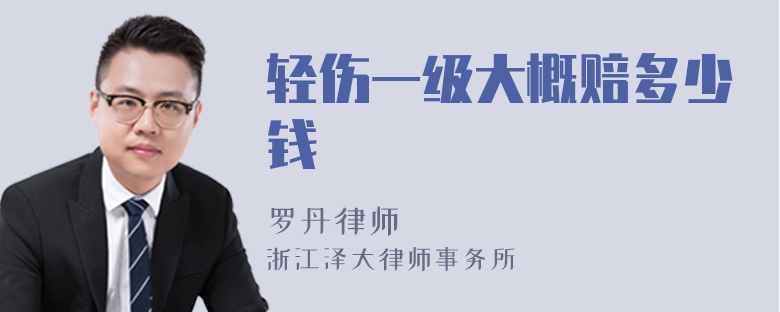 輕傷一級大概賠多少錢