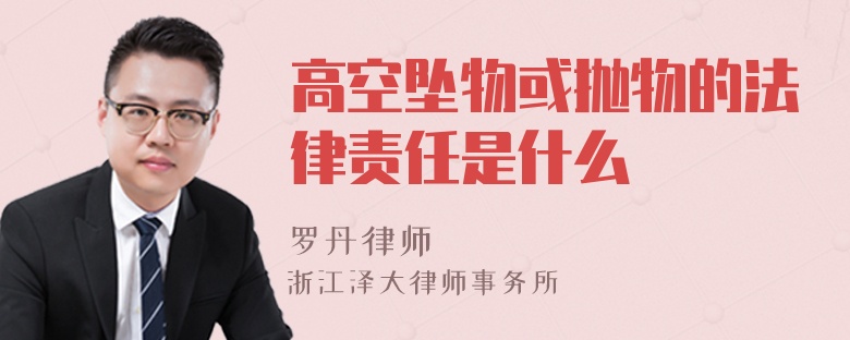 高空墜物或拋物的法律責任是什么