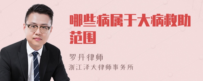 哪些病屬于大病救助范圍