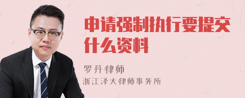 申請強制執(zhí)行要提交什么資料