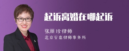 起訴離婚在哪起訴