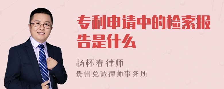 專利申請(qǐng)中的檢索報(bào)告是什么