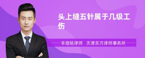 頭上縫五針屬于幾級工傷
