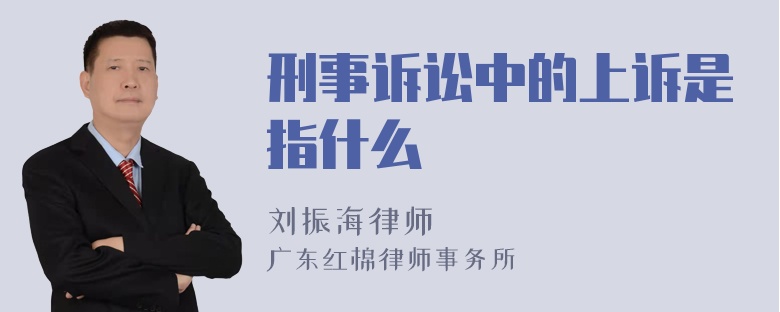 刑事訴訟中的上訴是指什么
