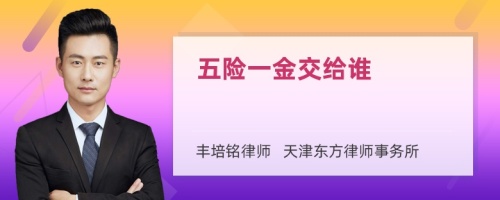 五險一金交給誰