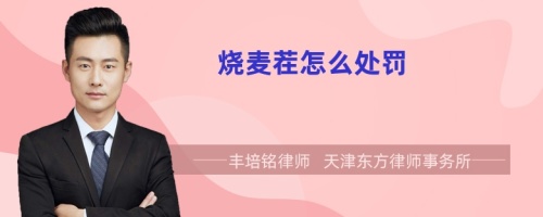 燒麥茬怎么處罰