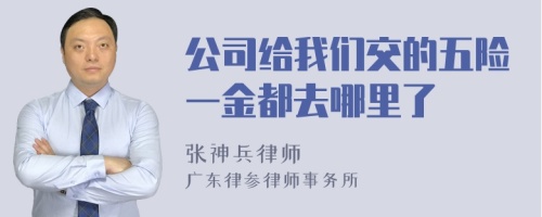 公司給我們交的五險(xiǎn)一金都去哪里了
