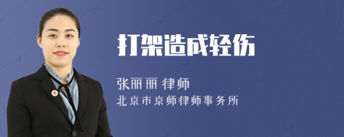 打架造成輕傷