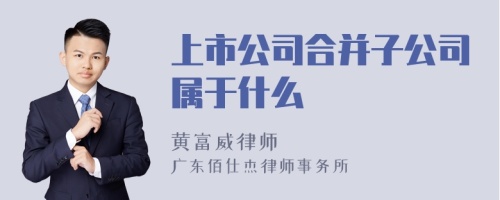 上市公司合并子公司属于什么