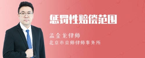 懲罰性賠償范圍